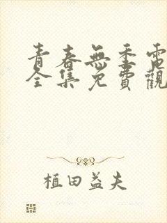 青春无季电视剧全集免费观看