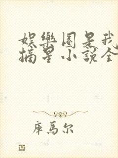 娱乐圈是我的许摘星小说全文免费阅读