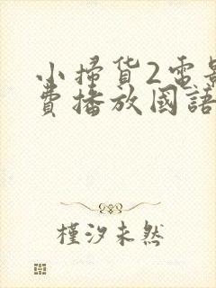 小扫货2电影免费播放国语