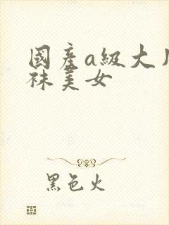 国产a级大片丝袜美女