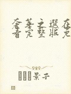 奢华之选在线观看完整版免费高清