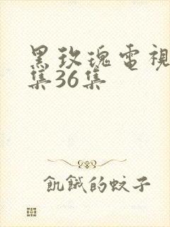 黑玫瑰电视剧全集36集
