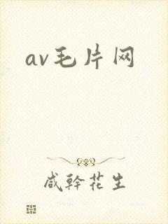 av毛片网