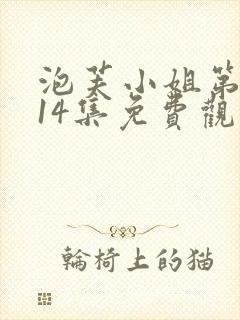 泡芙小姐第六季14集免费观看全集