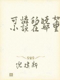 可怜的晓絮原版小说在哪里看