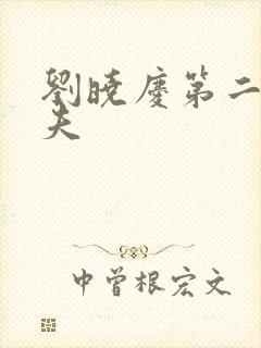 刘晓庆第二任丈夫