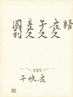 国产午夜精品福利久久久