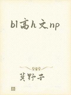 bl高h文np封面