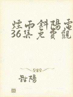 烟雨斜阳电视剧36集免费观看