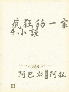 疯狂的一家ps4小说封面