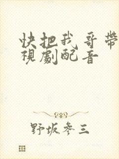 快把我哥带走电视剧配音