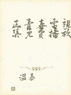 正青春电视剧全集免费播放高清版