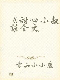 《甜心小叔》小说全文