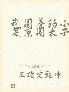 我圈养的小白脸是京圈太子爷短剧封面