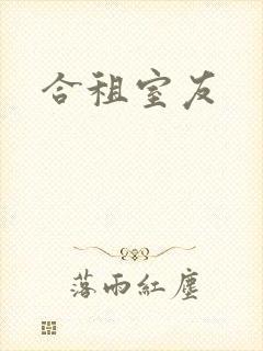 合租室友