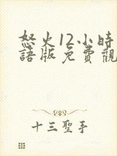 怒火12小时国语版免费观看封面