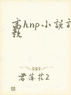 高hnp小说调教
