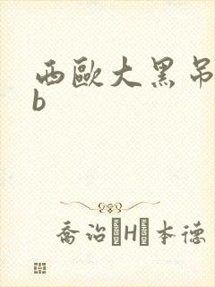 西欧大黑吊操白b