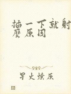 插一下就射是什么原因