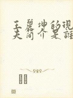 王丽坤的现任丈夫简介是谁封面