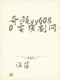 奇领yy6080 电视剧网站
