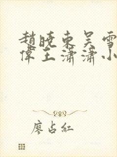 赵晓东吴雪晴郑伟王潇潇小说名字封面