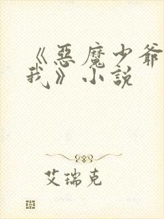 《恶魔少爷别惹我》小说