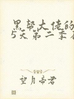 黑帮大佬的365天第二季在线观看