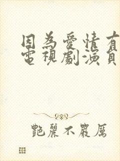 因为爱情有多美电视剧演员表封面