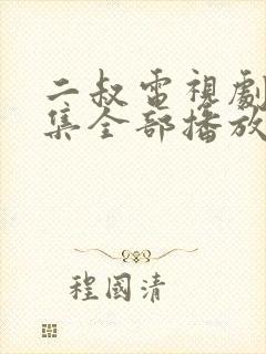 二叔电视剧40集全部播放