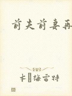 前夫前妻再来电