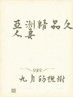 亚洲精品久久久人妻