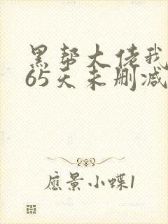 黑帮大佬我的365天未删减版封面