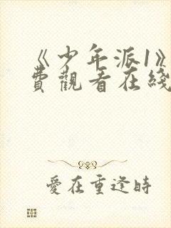 《少年派1》免费观看在线