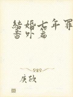 结婚七年罪与泪番外篇