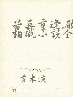 若再重逢,愿不相识小说全文