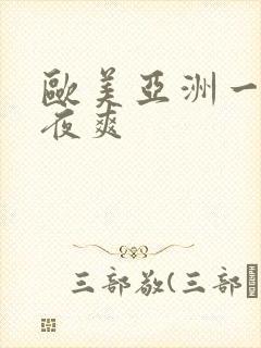 欧美亚洲一级夜夜爽