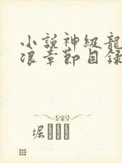 小说神级龙卫沈浪章节目录