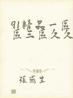 91精品一区二区三区久久久久久封面