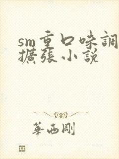 sm重口味调教扩张小说