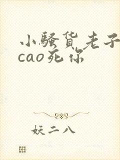 小骚货老子今天cao死你