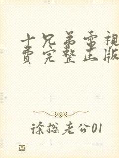 十兄弟电视剧免费完整正版国语封面