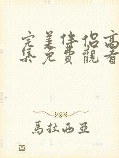 完美伴侣高清全集免费观看