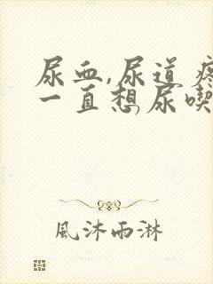 尿血,尿道疼,一直想尿吃什么药