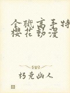全职高手特别篇樱花动漫