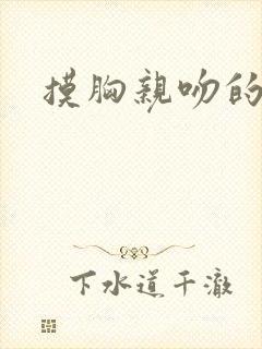 摸胸亲吻的视频
