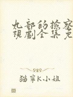 九部的检察官电视剧全集免费封面