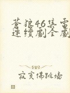 苍狼46集电视连续剧全剧剧情介绍