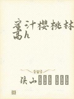 蜜汁樱桃林妙妙高h