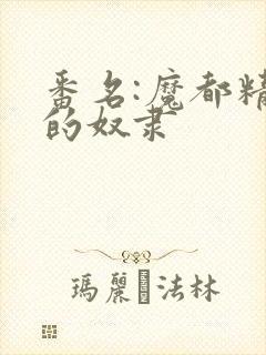番名:魔都精兵的奴隶封面